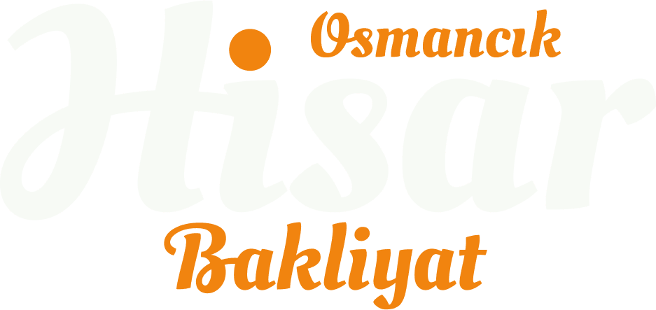 Hisar Bakliyat